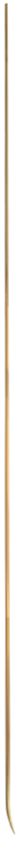 Website_gold-(3)_edited_edited