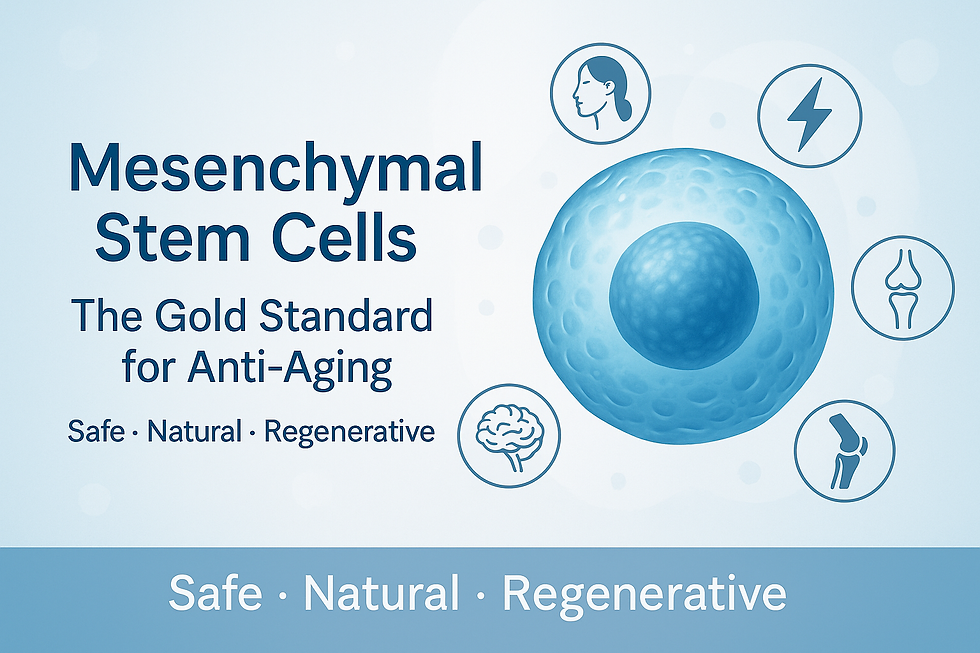 mesenchymal-stem-cells-anti-aging.png