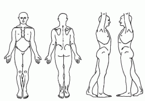 body map