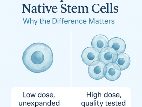 Lab-Expanded vs Native Stem Cells: What’s the Difference and Why It Matters