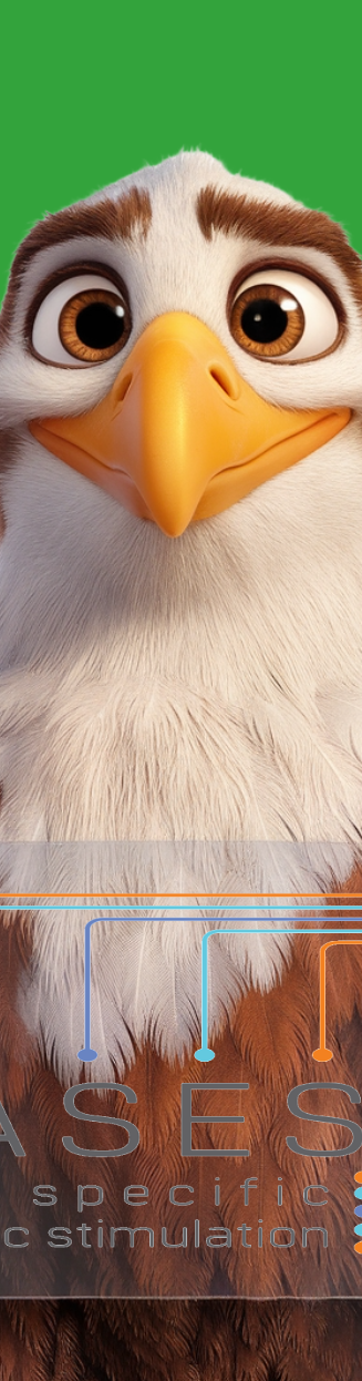 Untitled-9-TASES.png