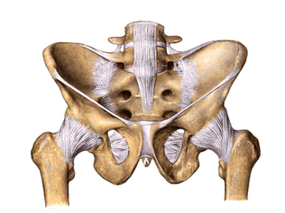 Joint Health: Comprehensive care and prevention of joint pain