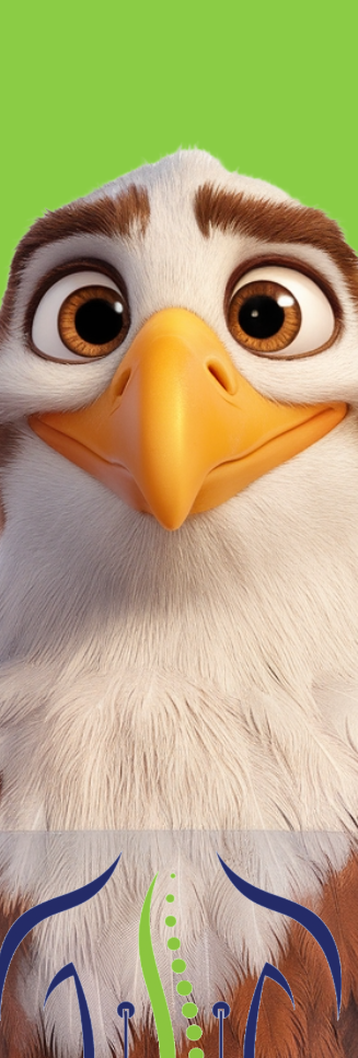 Untitled-8-NISE-STIM.png