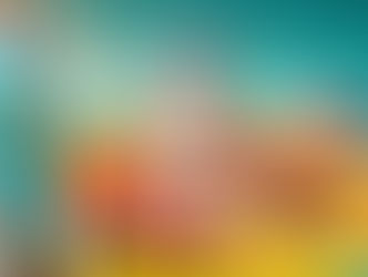 Was sind TheraTogs™?