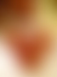 TapaPiés en Lavapiés 