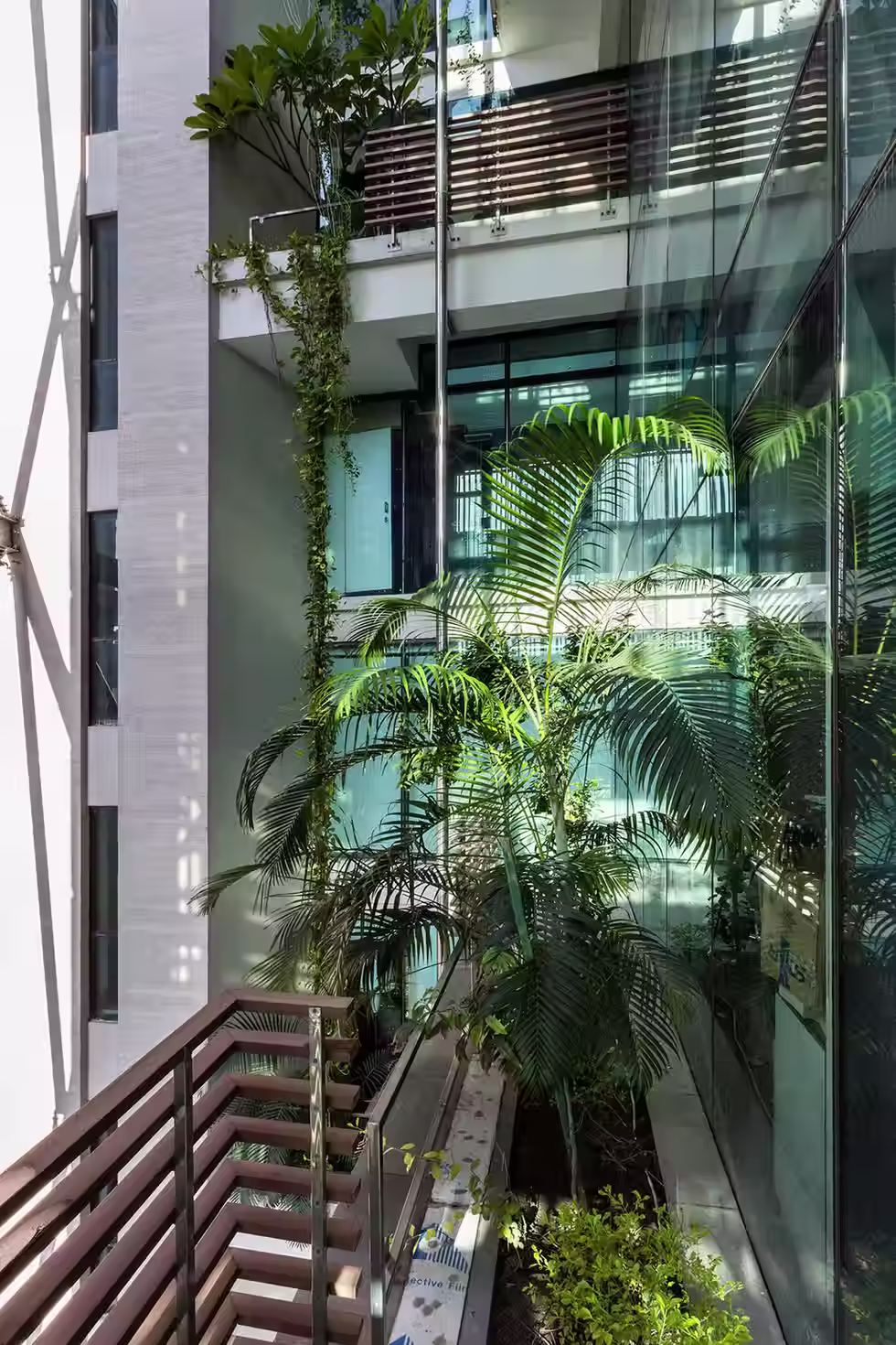Manama Urban Forest
