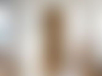 FOCUS - Porte blindée pour appartement ancien