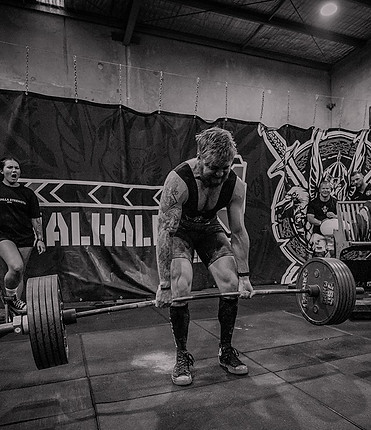 280 Dead Large_edited.jpg