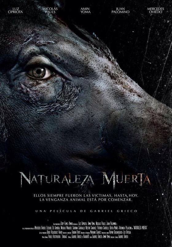 Naturaleza Muerta Luz Cipriota