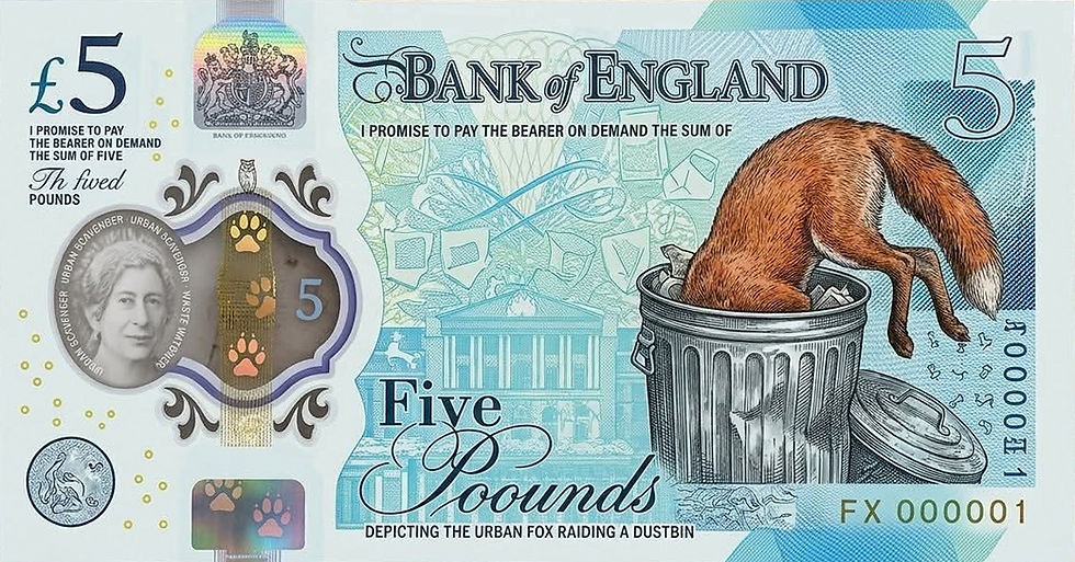 Kreative Designer mit Sinn für Humor