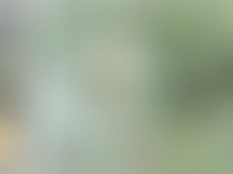 Turkmenistan beginnt mit der Umstellung auf Polymer