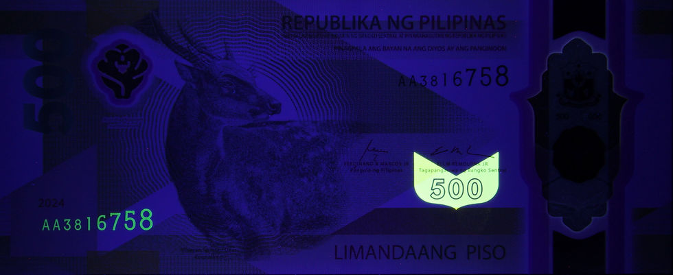 500-Piso-Polymerbanknote unter UV-Licht (Vorderseite).