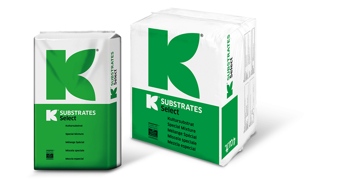 Sustrato Klasmann con Perlita.