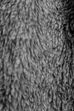 Macro abstracto