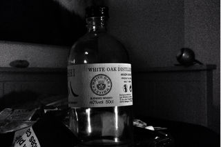 IMG_3642.jpeg