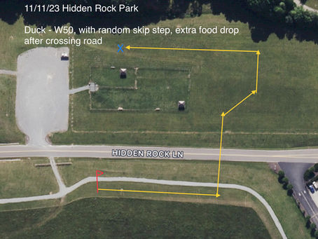 11/11/23 Hidden Rock Park