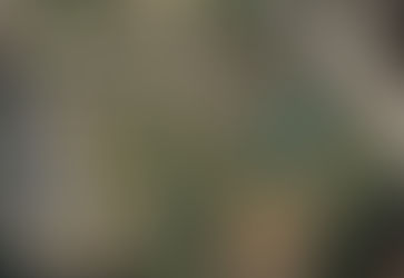 12/23/23 Horseshoe Lake, Succasunna, NJ