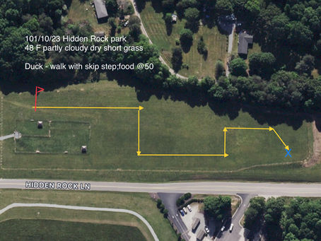 10/7/23 - 10/10/2023