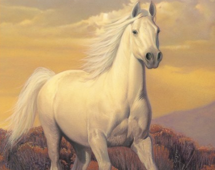Phantom Stallion Series by Terri Farley - Win a Free Audiobook!