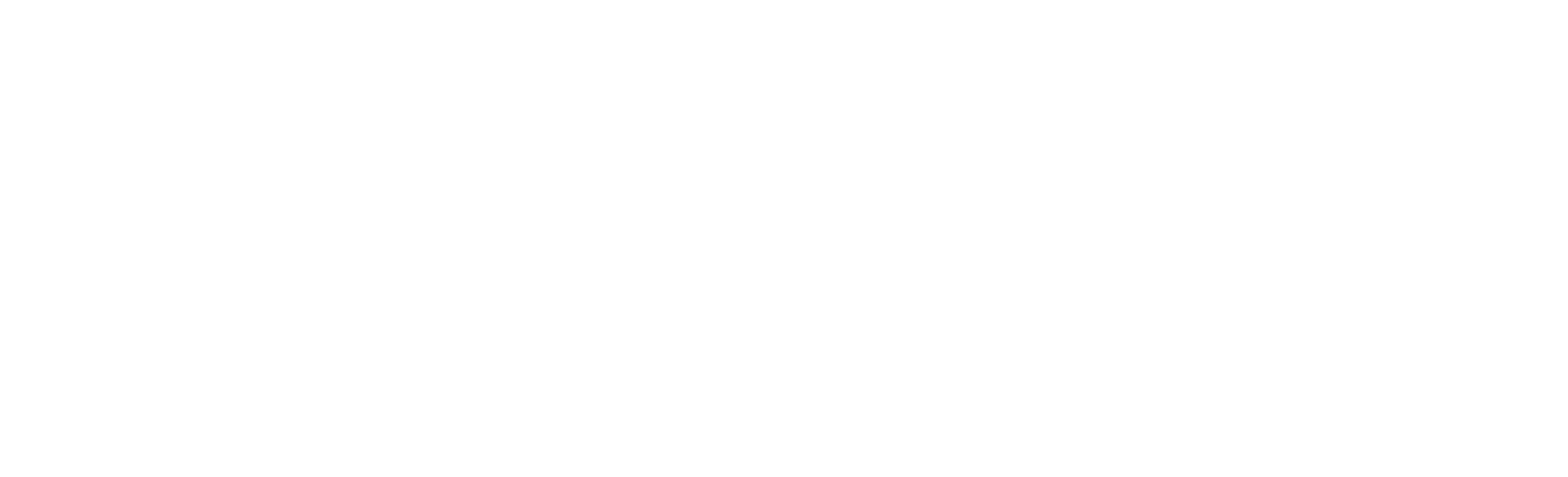Rudolf-Novotny-v2_white_high-res.gif