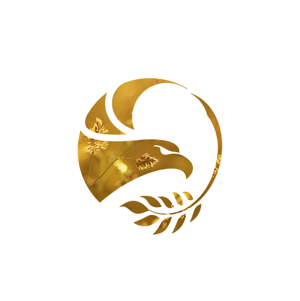 new logo alnase png.png
