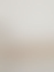 Rapidità di Annarosa Tonin