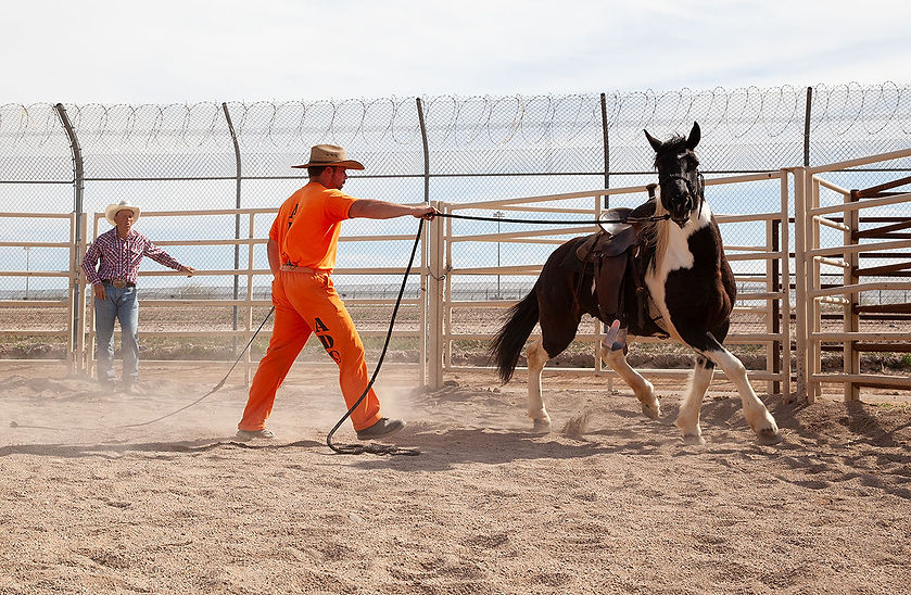 Mustangs of America Training Programs