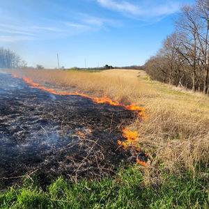 Prescribed Burning
