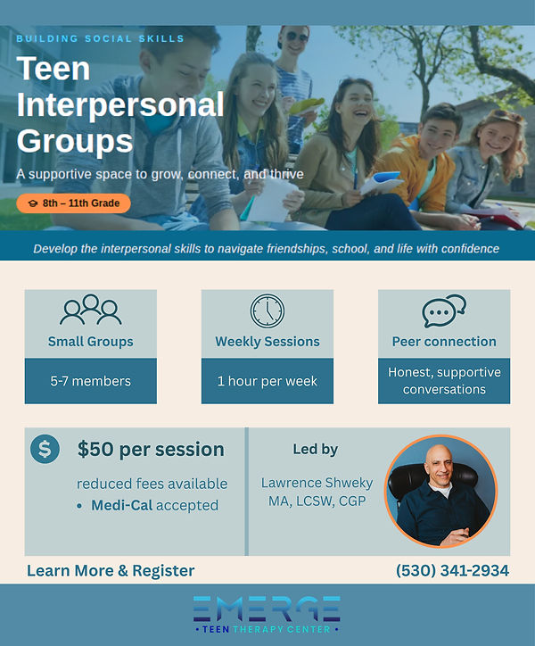 Small group therapy infographic