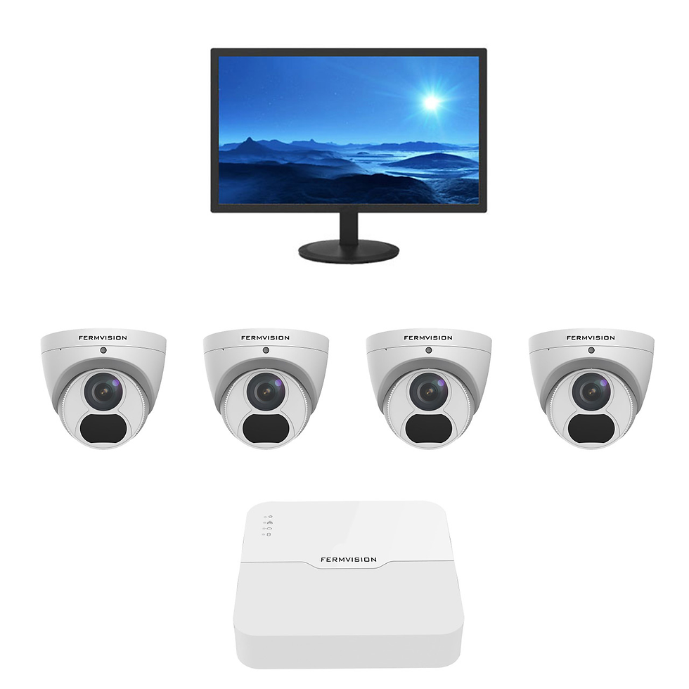 firmvision security system buderim