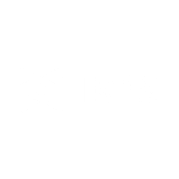 IRiS Logo