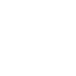 Snowflake Logo