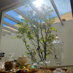 WhatsApp Image 2021-01-10 at 13.01.44