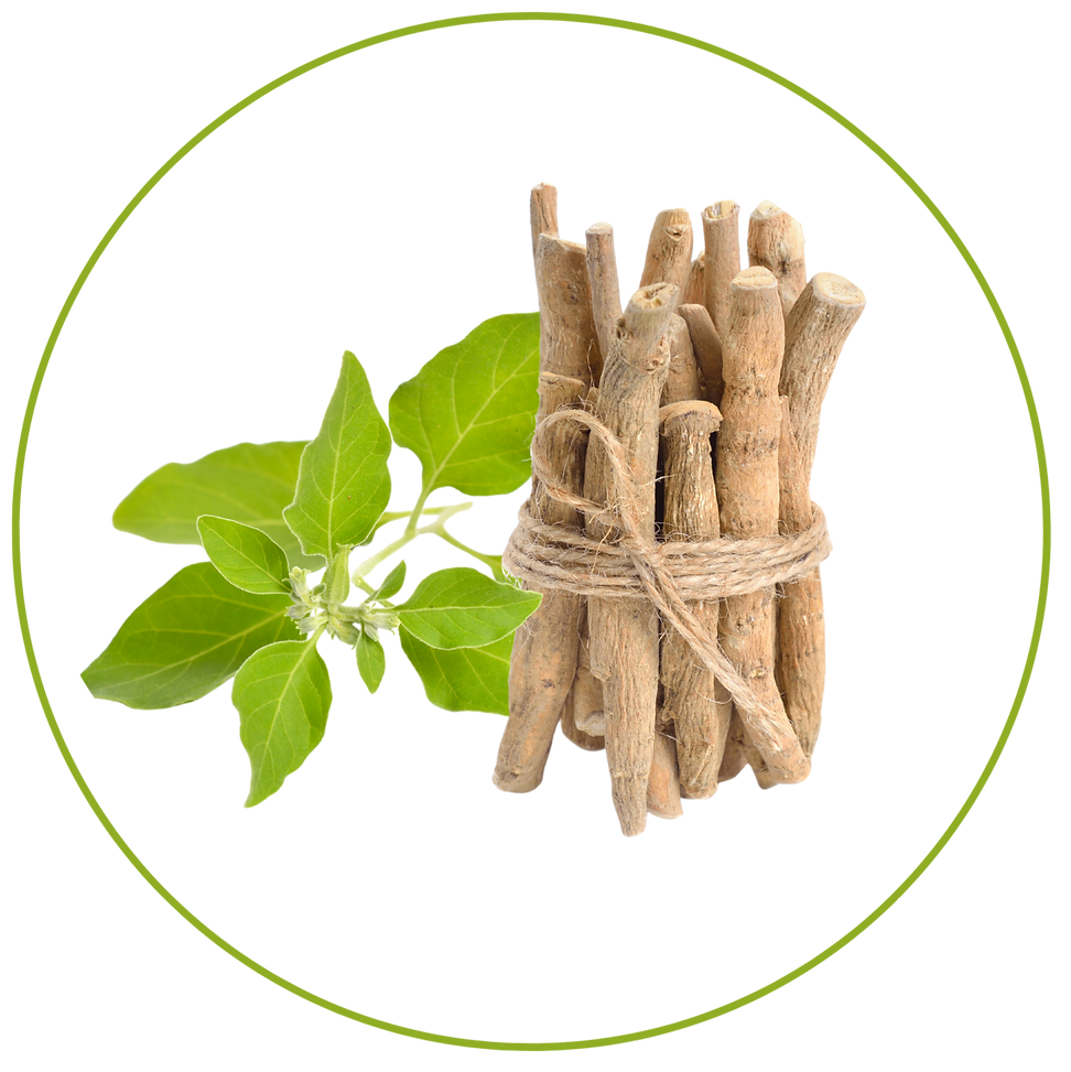Ashwagandha.png