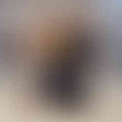 Chad Morrison, Dante and Casey