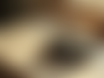 Exploring the Past: Dive into Historia Revelatus Films