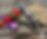 Ed Sol Overlay (16)