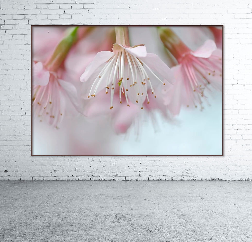 Miniatura: Flores