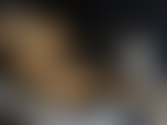 נחשים בחורף הישראלי