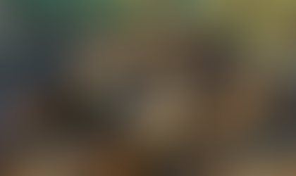 נחשים בשרון: מדריך מקיף לתושבי האזור