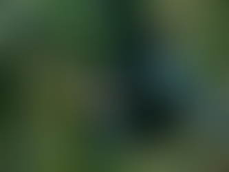 נחשים אוכלים נחשים