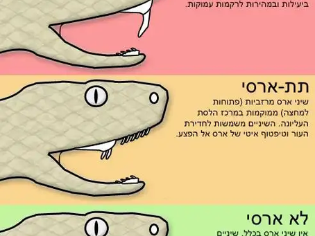מה זה נחש תת ארסי, והאם מסוכן לנו?
