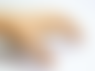 מה עושים במקרה של הכשת נחש?