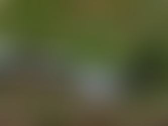 האם נחשים באמת יצורים בודדים?