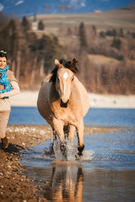 de Lara Baeriswyl.jpg