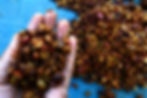 Thumbnail: TRUFFLE SHUFFLE