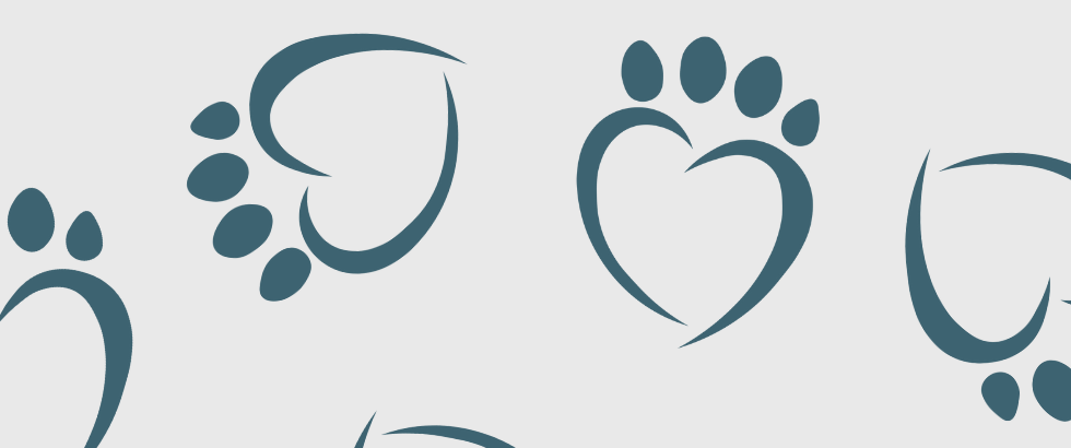 Background (no overlap).png