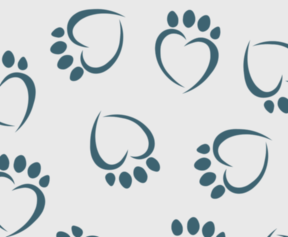 Background (no overlap).png