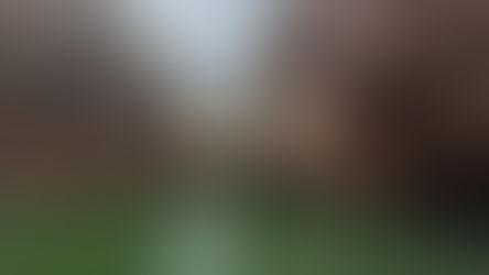 Piranhas, a hidden gem in the Northeastern Backlands, "O Sertão"