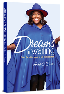 Anika3Dbookcover.png